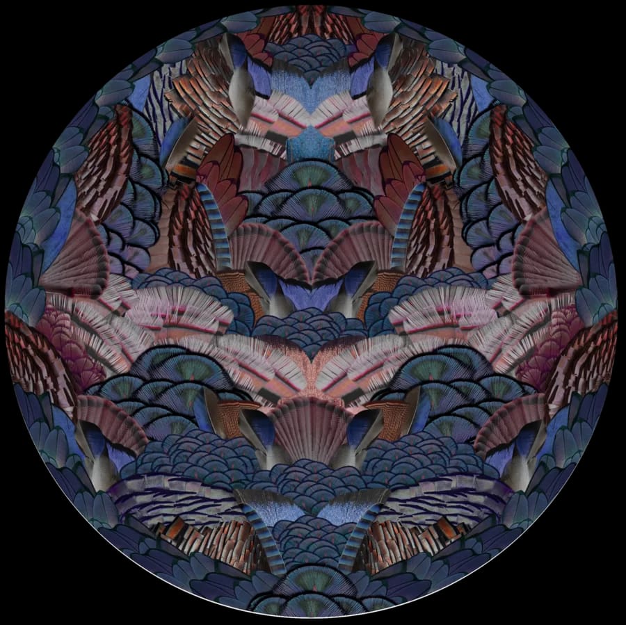 Carpet Extinct Animal Calligraphy Bird