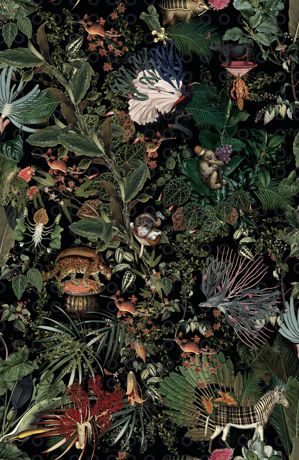 Moooi Wallcovering Menagerie of Extinct Animals Raven