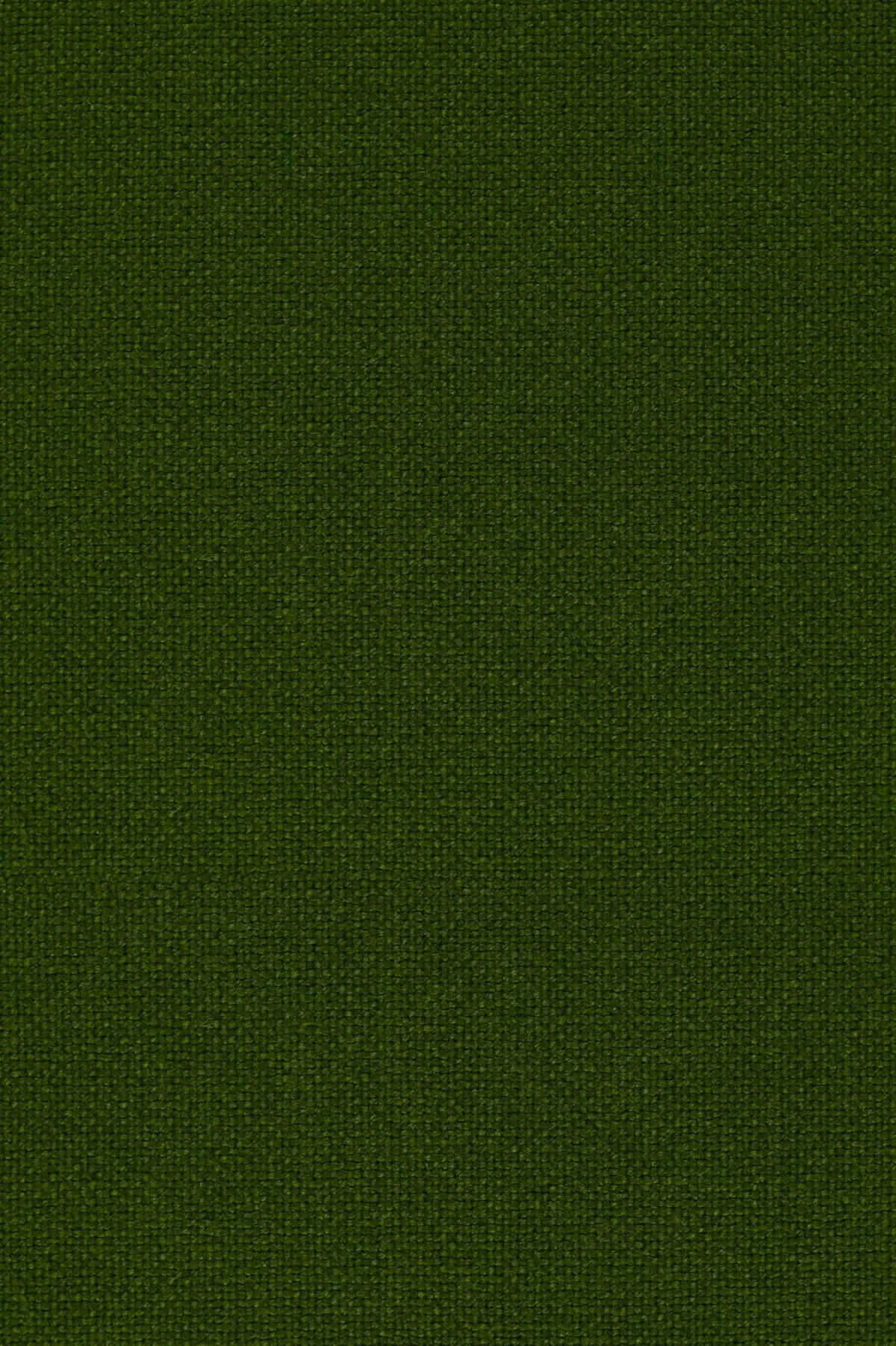 Fabric sample Hallingdal 65 960 green