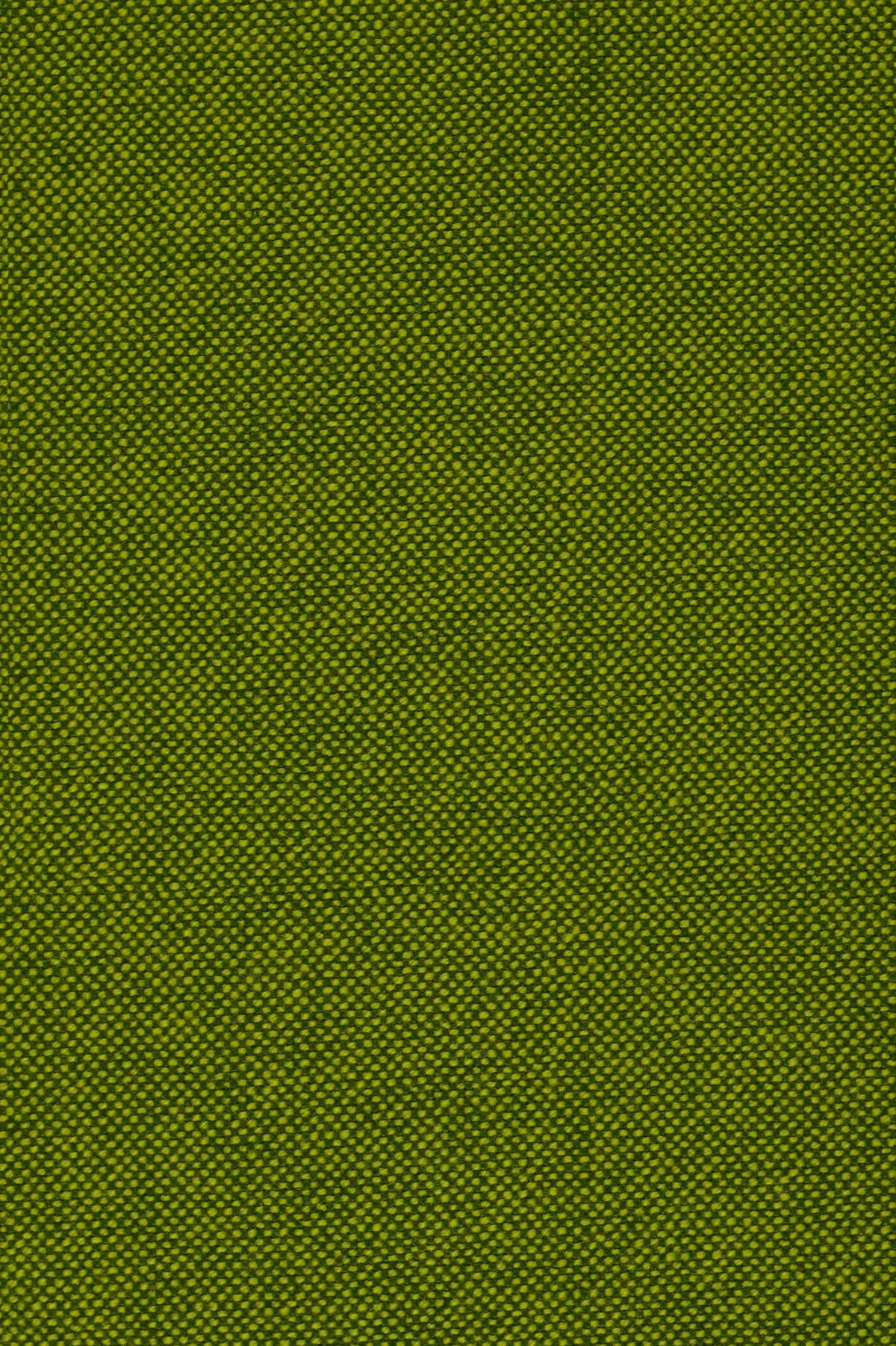Fabric sample Hallingdal 65 980 green