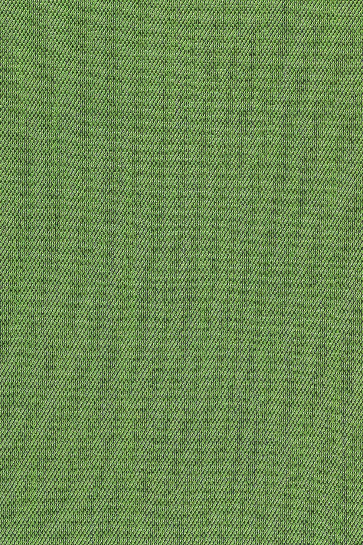 Fabric sample Steelcut Trio 3 953 green