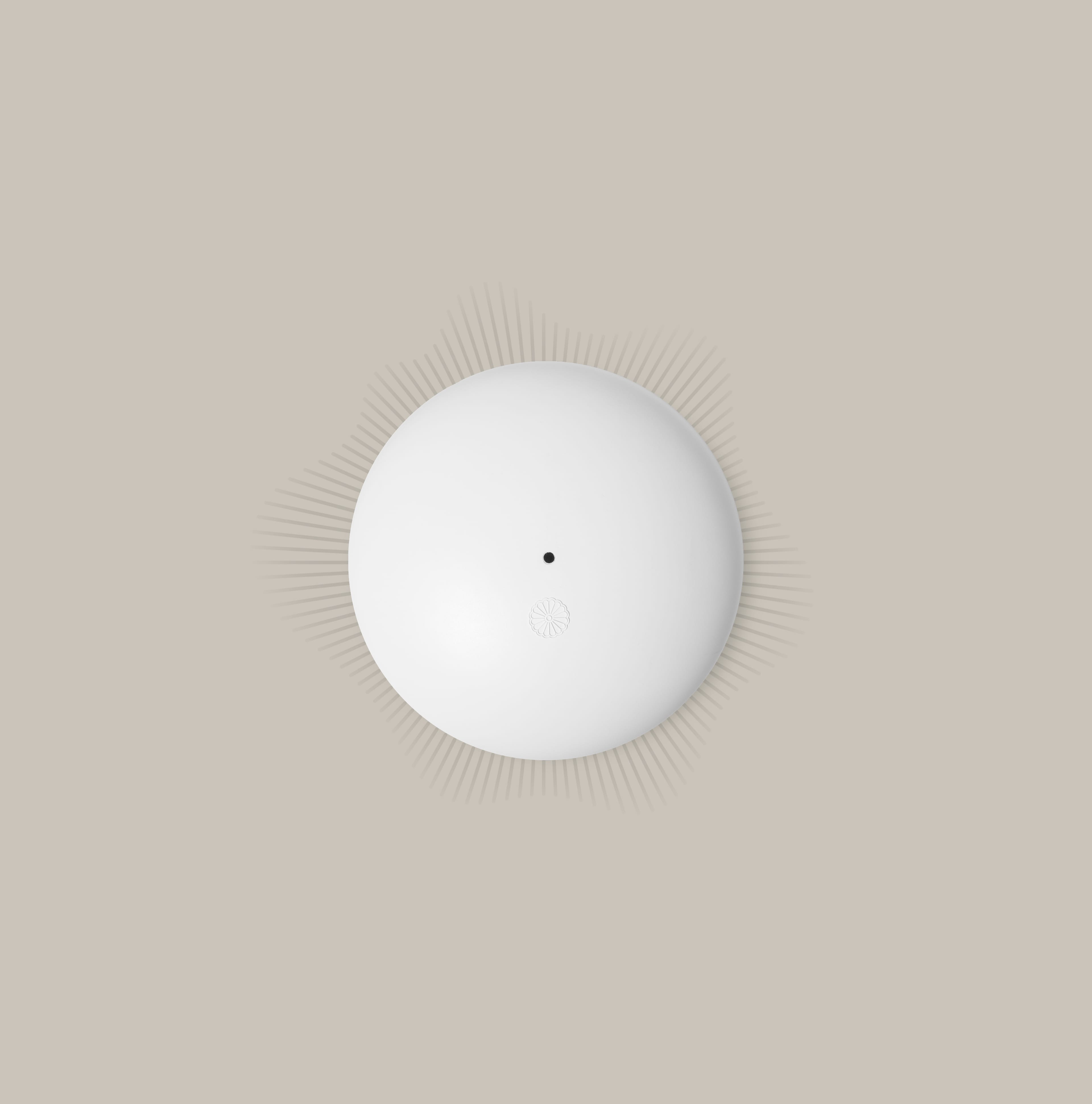 The Beta Living Pebble